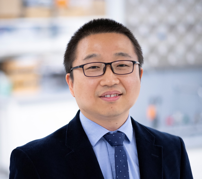 Associate Professor, Wenzhuo Wu